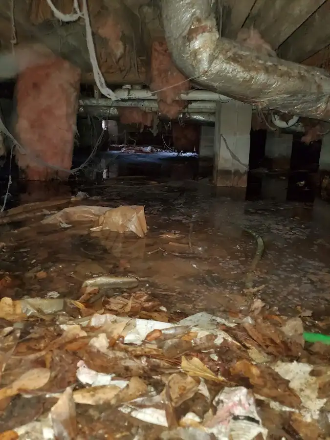 Crawl space flood assessment for Leak Detection & Repair in Campbell